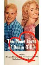 S1 E1 The Many Loves of Dobie Gillis Season 1 Episode 1